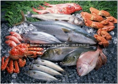 Bảng báo giá hải sản cập nhật 2024 mới nhất