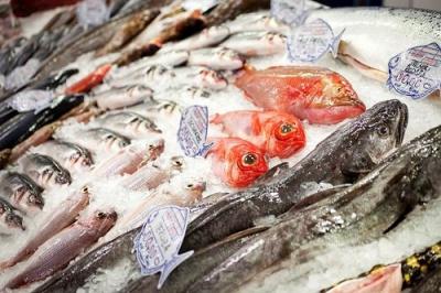 Bảng Giá Hải Sản Cập Nhật Hôm Nay