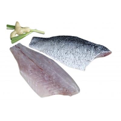 Cá chẽm fillet còn da size 500/800 gr/miếng, MB20
