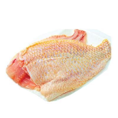 Cá diêu hồng fillet size 100up/miếng, MB10