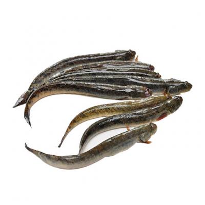 Cá kèo size 30/40 con/kg, MB20, 1kg/block