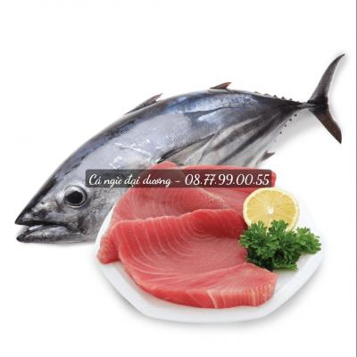 Cá ngừ đại dương nhập khẩu sỉ/lẻ TPHCM