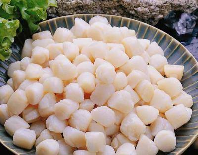 cồi sò mai giá sỉ thành phố hồ chí minh
