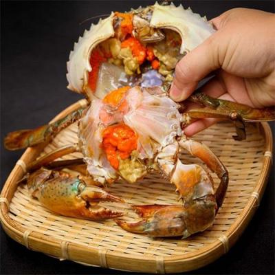 Cua gạch Cà Mau – Giao sống tận nhà HCM