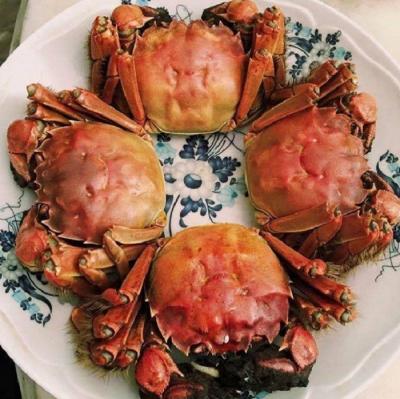 Cua lông Hồng Kông tươi sống