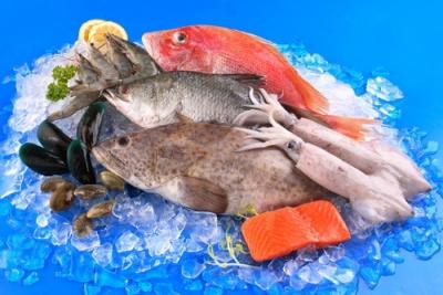 Hải Sản Đông Lạnh Và Các Mặt Hàng Hải Sản
