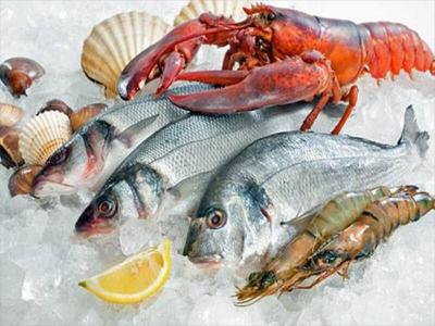 Hải sản nhập khẩu đông lạnh giá sỉ
