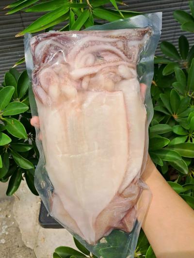 mực một nắng giá sỉ thành phố hồ chí minh